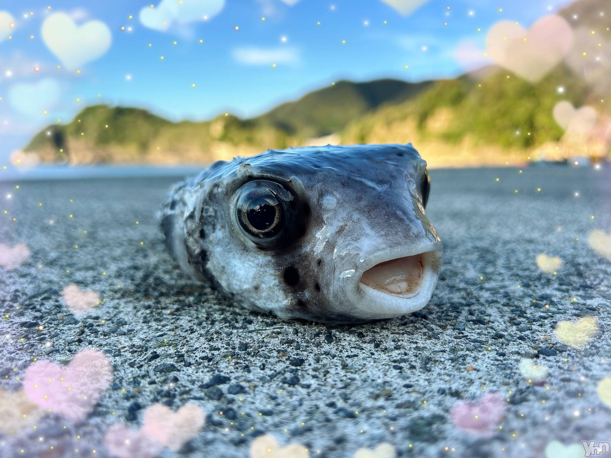 ���ܥ���Х��顦�����CLUB WONDER(����� ������) ��2025ǯ10��17���̥�֥����֤��襤��‪‪❤︎‬��