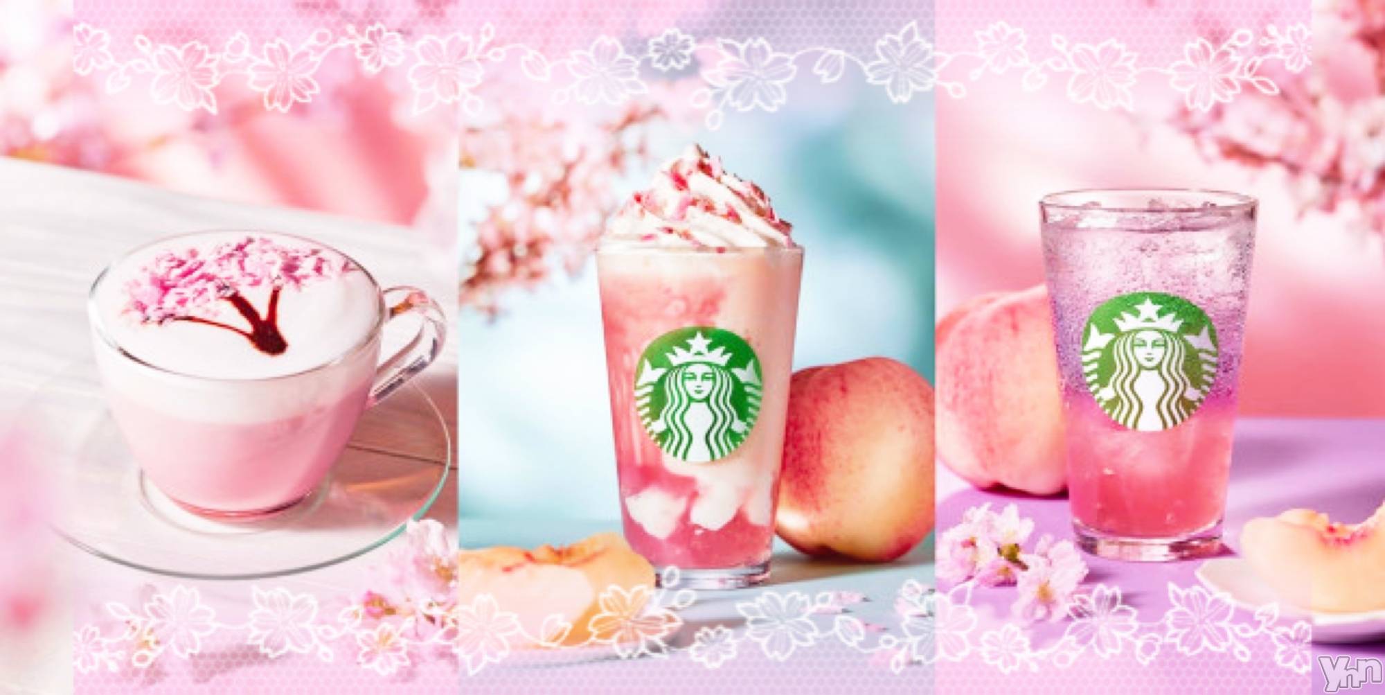 ���ܥ���Х��顦�����CLUB WONDER(����� ������) ��2026ǯ2��13���̥�֥�������1��‪‪❤︎‬��