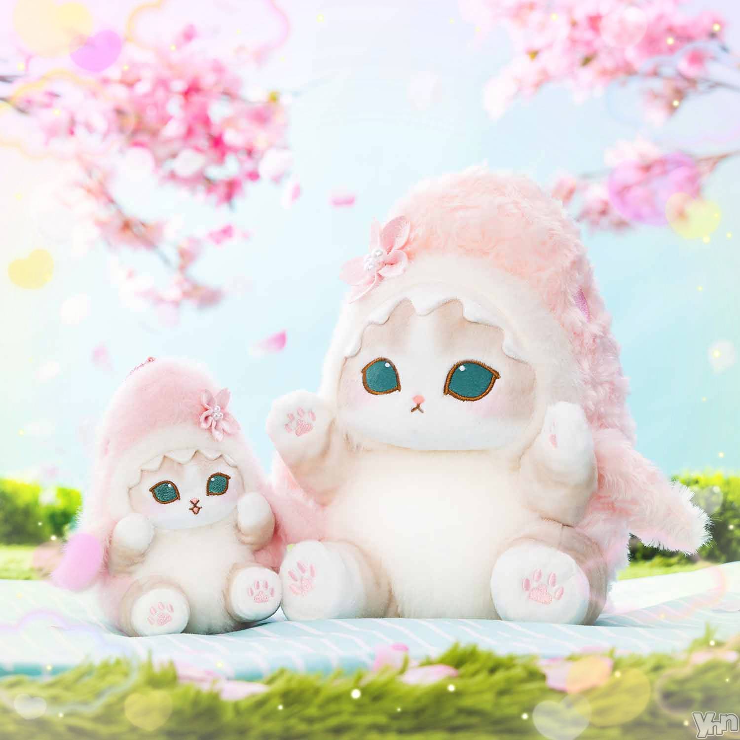 ���ܥ���Х��顦�����CLUB WONDER(����� ������) ��2026ǯ3��5���̥�֥����ֵפ��֤�‪‪❤︎‬��