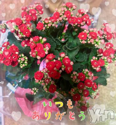 ���ܥ���Х��顦�����CLUB WONDER(����� ������) �����9��18���̥�֥�����💐🤍��