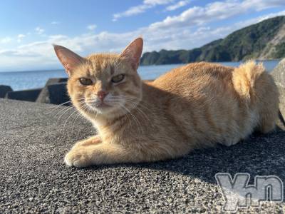 ���ܥ���Х��顦�����CLUB WONDER(����� ������) �����9��27���̥�֥����֤ˤ��🐈🐾��