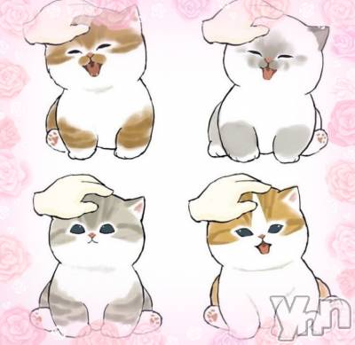 ���ܥ���Х��顦�����CLUB WONDER(����� ������) �����12��11���̥�֥����֤����λ�ã‪‪❤︎‬��