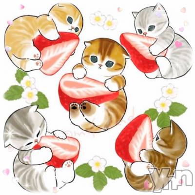 ���ܥ���Х��顦�����CLUB WONDER(����� ������) �����1��16���̥�֥����֤�����‪‪❤︎‬��