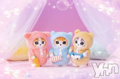 ���ܥ���Х��顦�����CLUB WONDER(����� ������) �����3��8���̥�֥����֥ѥ����‪‪❤︎‬��