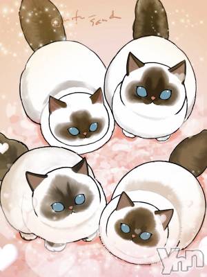 ���ܥ���Х��顦�����CLUB WONDER(����� ������) �����4��12���̥�֥����ֺ�����‪‪❤︎‬��