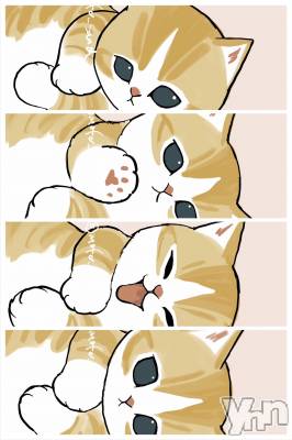 ���ܥ���Х��顦�����CLUB WONDER(����� ������) �����6��11���̥�֥����ֲ���‪‪❤︎‬��