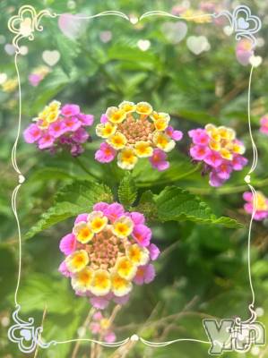 ���ܥ���Х��顦�����CLUB WONDER(����� ������) �����7��9���̥�֥����֥�󥿥�‪‪❤︎‬��