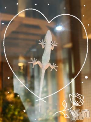 ���ܥ���Х��顦�����CLUB WONDER(����� ������) �����8��31���̥�֥�����ȯ��‪‪❤︎‬��