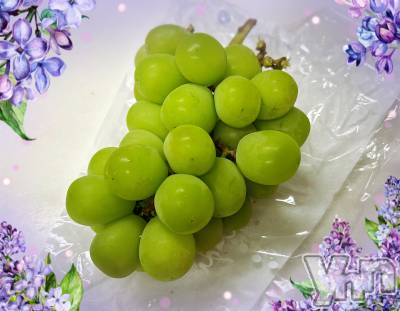 ���ܥ���Х��顦�����CLUB WONDER(����� ������) �����9��7���̥�֥����ֽ�‪‪❤︎‬��