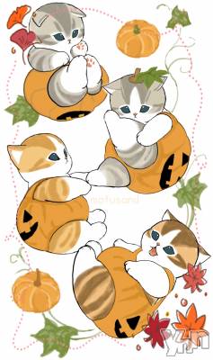 ���ܥ���Х��顦�����CLUB WONDER(����� ������) �����9��27���̥�֥����ֺ�����‪‪❤︎‬��