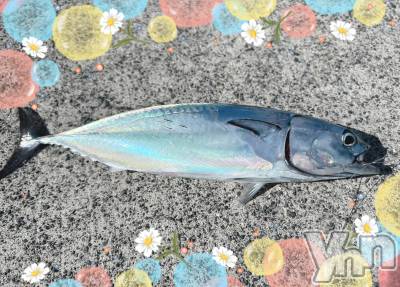 ���ܥ���Х��顦�����CLUB WONDER(����� ������) �����10��8���̥�֥����֥��ĥ�‪‪❤︎‬��