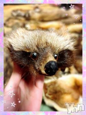 ���ܥ���Х��顦�����CLUB WONDER(����� ������) �����1��3���̥�֥�����Ķ�쥢‪‪❤︎‬��