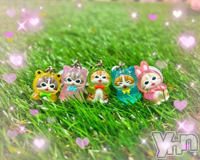 ���ܥ���Х��顦�����CLUB WONDER(����� ������) �����3��31���̥�֥����֥���ץ꡼��‪‪❤︎‬��