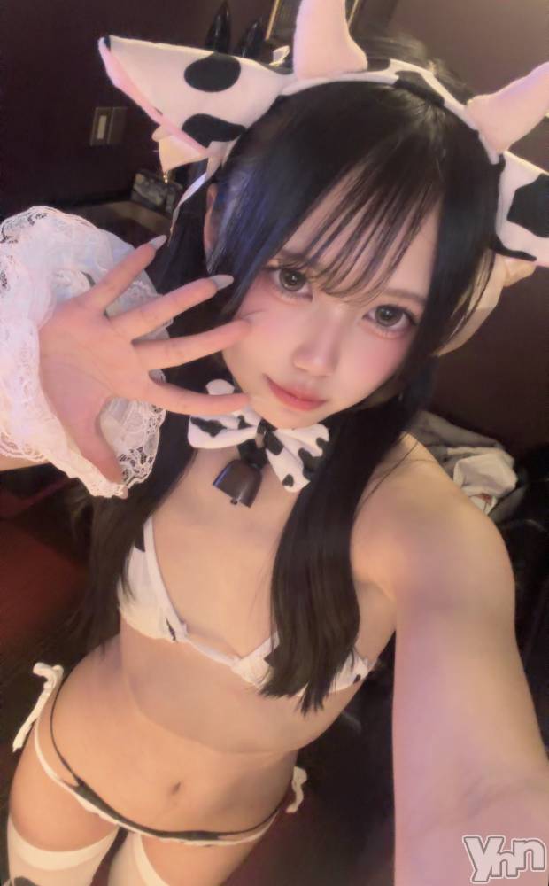 ���ܥ��ʥå��������륺�С�Girl's Bar All-in(�����륤��)(�����륺�С������륤��) ��������10��31���̥�֥����֤���������