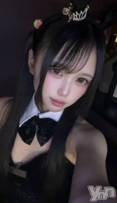 ���ܥ��ʥå��������륺�С�Girl's Bar All-in(�����륤��)(�����륺�С������륤��) ������(20)��9��12���̥�֥����ֱ��Τ�������ȱ���������