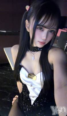 ���ܥ��ʥå��������륺�С�Girl's Bar All-in(�����륤��)(�����륺�С������륤��) ������(20)��10��24���̥�֥����ֿ������Фˡ�����