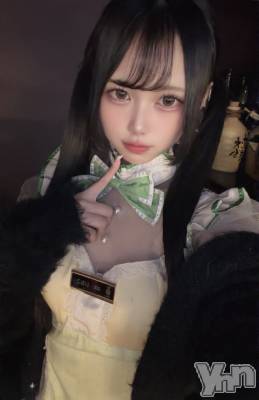 ���ܥ��ʥå��������륺�С�Girl's Bar All-in(�����륤��)(�����륺�С������륤��) ������(20)��4��8���̥�֥����֤���ä��󡪡�