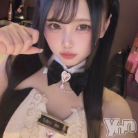 Girl's Bar All-in(�����륤��)