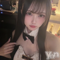 Girl's Bar All-in(�����륤��)