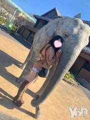 甲府ソープオレンジハウス おんぷ(26)の12月1日写メブログ「初めてのトランポリンで才能開花」