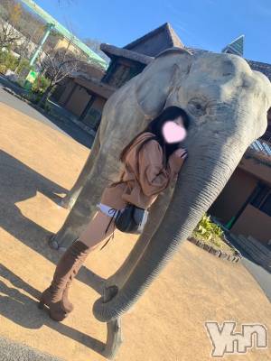 甲府ソープ オレンジハウス おんぷ(26)の12月1日写メブログ「初めてのトランポリンで才能開花」