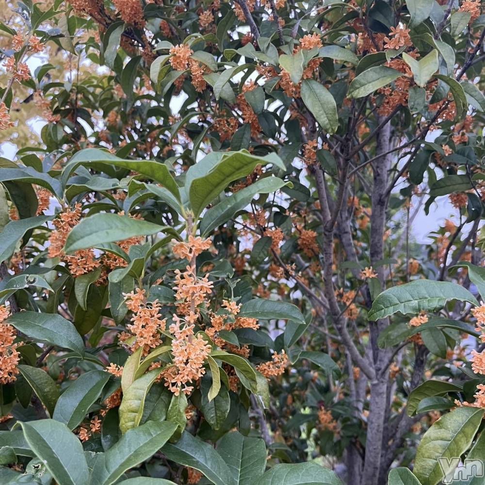 ���ܥ���Х��顦�����CLUB HEARTS(����֥ϡ���) �ޤʤȤ�10��18���̥�֥�����🧡❁⃘*.�ߡ�