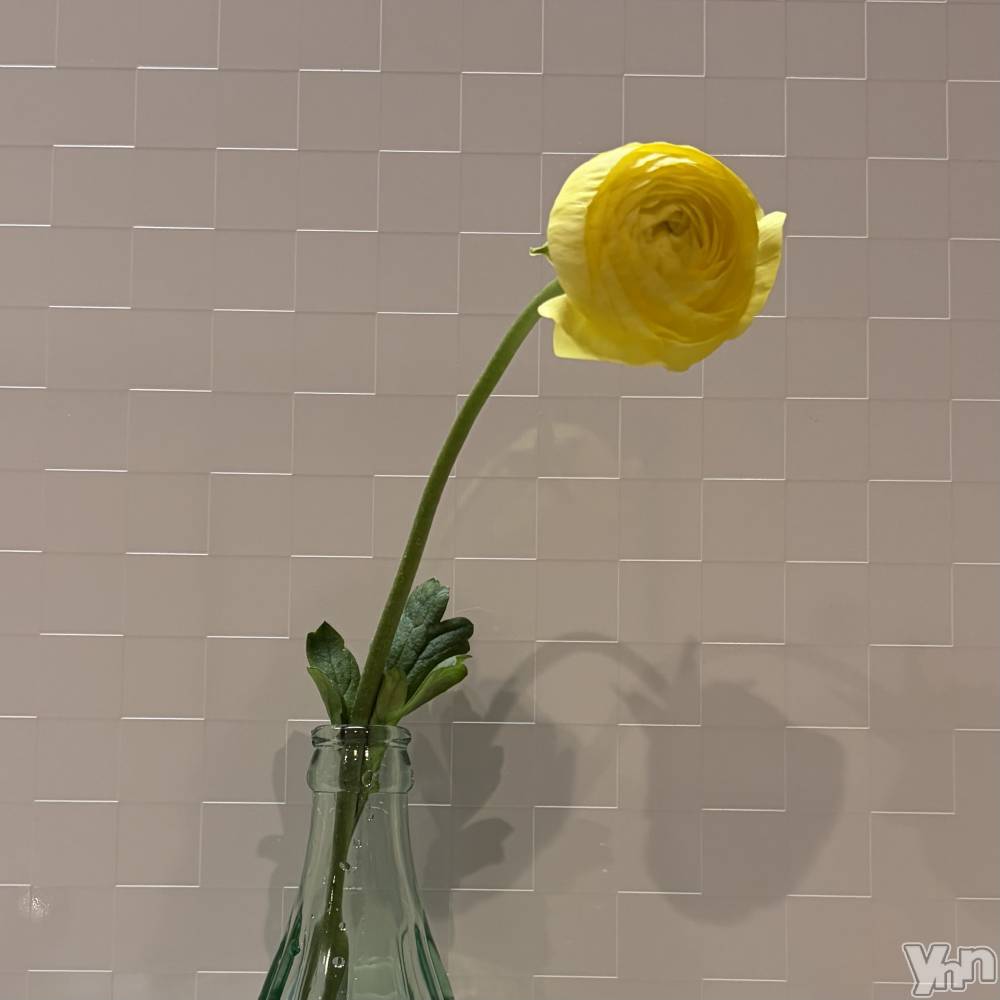 ���ܥ���Х��顦�����CLUB HEARTS(����֥ϡ���) �ޤʤȤ�1��14���̥�֥�����1�����1��🌼��