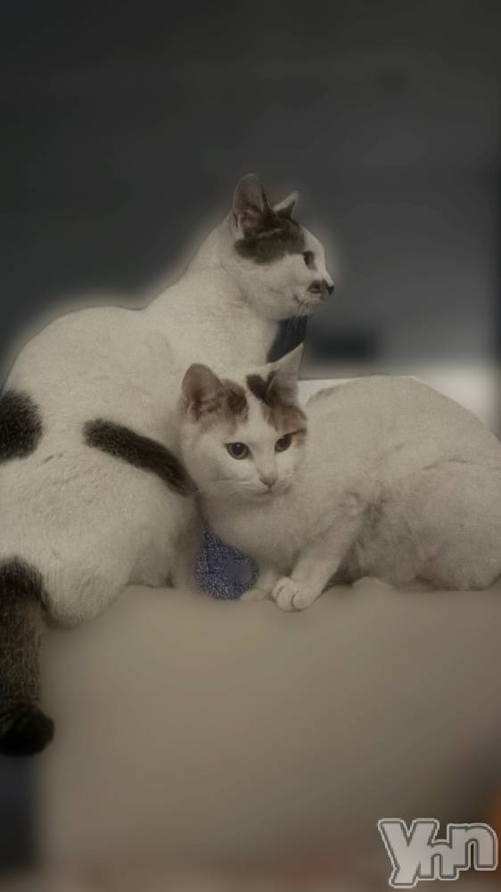 ���ܥ���Х��顦�����CLUB HEARTS(����֥ϡ���) �ޤʤȤ�2��22���̥�֥����֤ˤ��ˤ��ˤ���