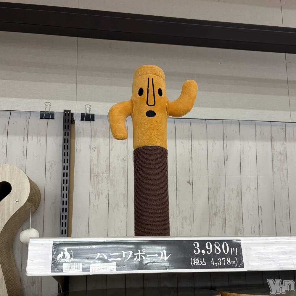 ���ܥ���Х��顦�����CLUB HEARTS(����֥ϡ���) �ޤʤȤ�3��9���̥�֥�����̥��Ū��