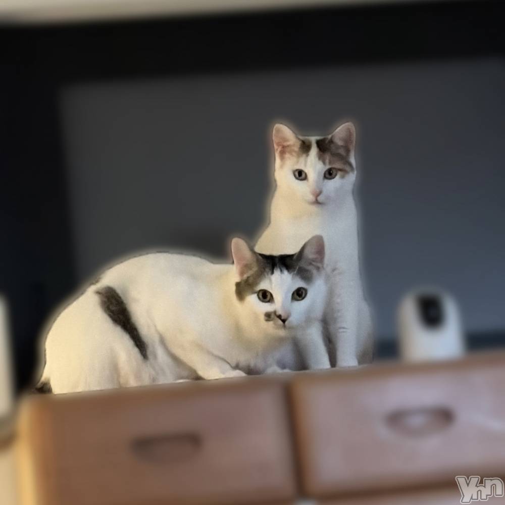 ���ܥ���Х��顦�����CLUB HEARTS(����֥ϡ���) �ޤʤȤ�3��29���̥�֥�����Ǻ�ߡ�