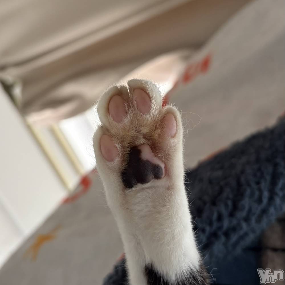 ���ܥ���Х��顦�����CLUB HEARTS(����֥ϡ���) �ޤʤȤ�4��9���̥�֥�����🐾🐾��