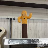 ���ܥ���Х��顦�����CLUB HEARTS(����֥ϡ���) �ޤʤ�(23)��3��9���̥�֥�����̥��Ū��