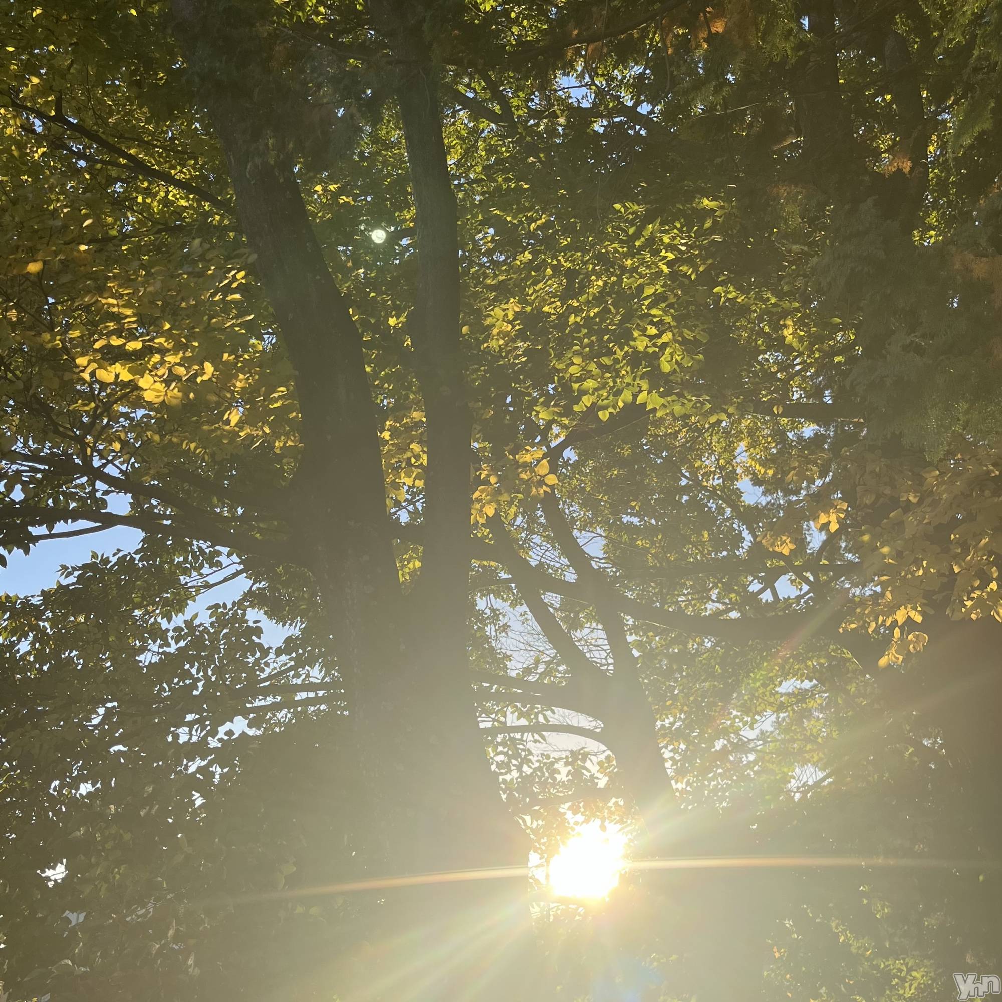 ���ܥ���Х��顦�����CLUB HEARTS(����֥ϡ���) ��2025ǯ11��16���̥�֥�����🍁⠜��