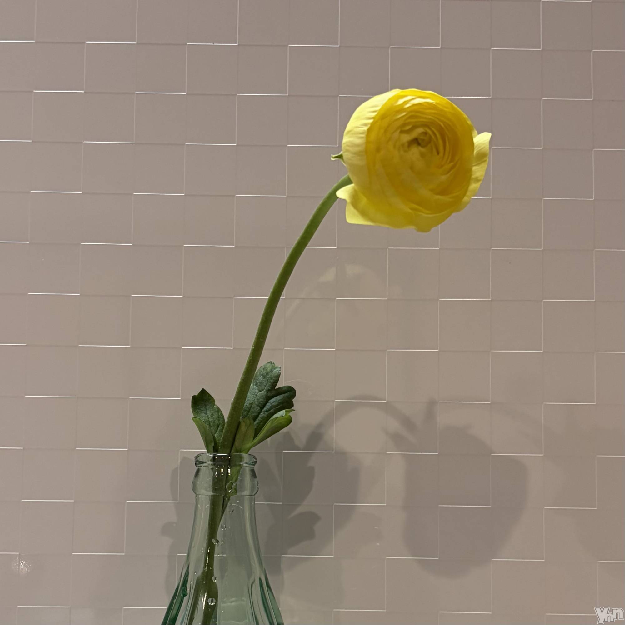 ���ܥ���Х��顦�����CLUB HEARTS(����֥ϡ���) ��2026ǯ1��14���̥�֥�����1�����1��🌼��