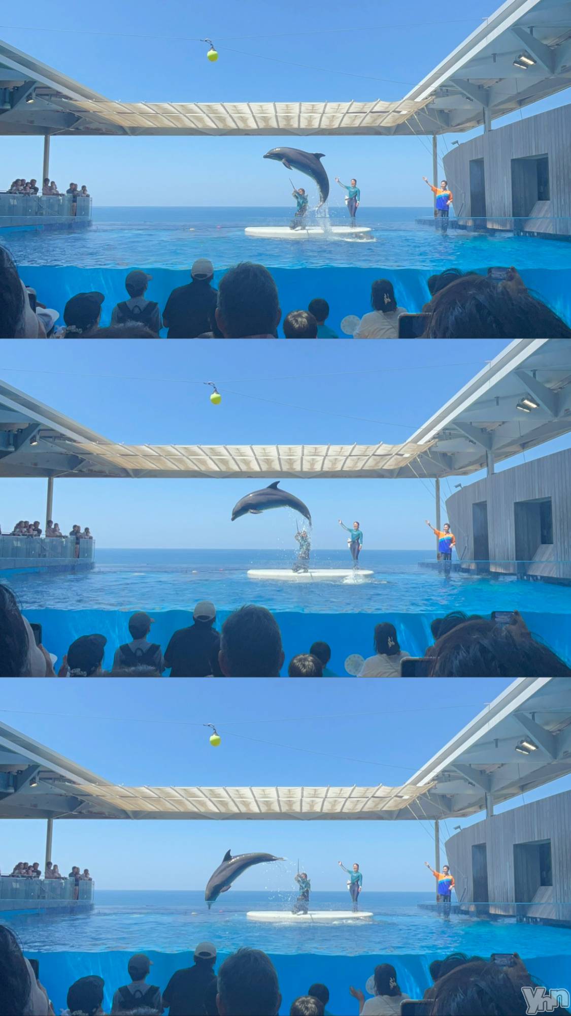 ���ܥ���Х��顦�����CLUB HEARTS(����֥ϡ���) ��2026ǯ1��17���̥�֥�����🐬✩.*�����