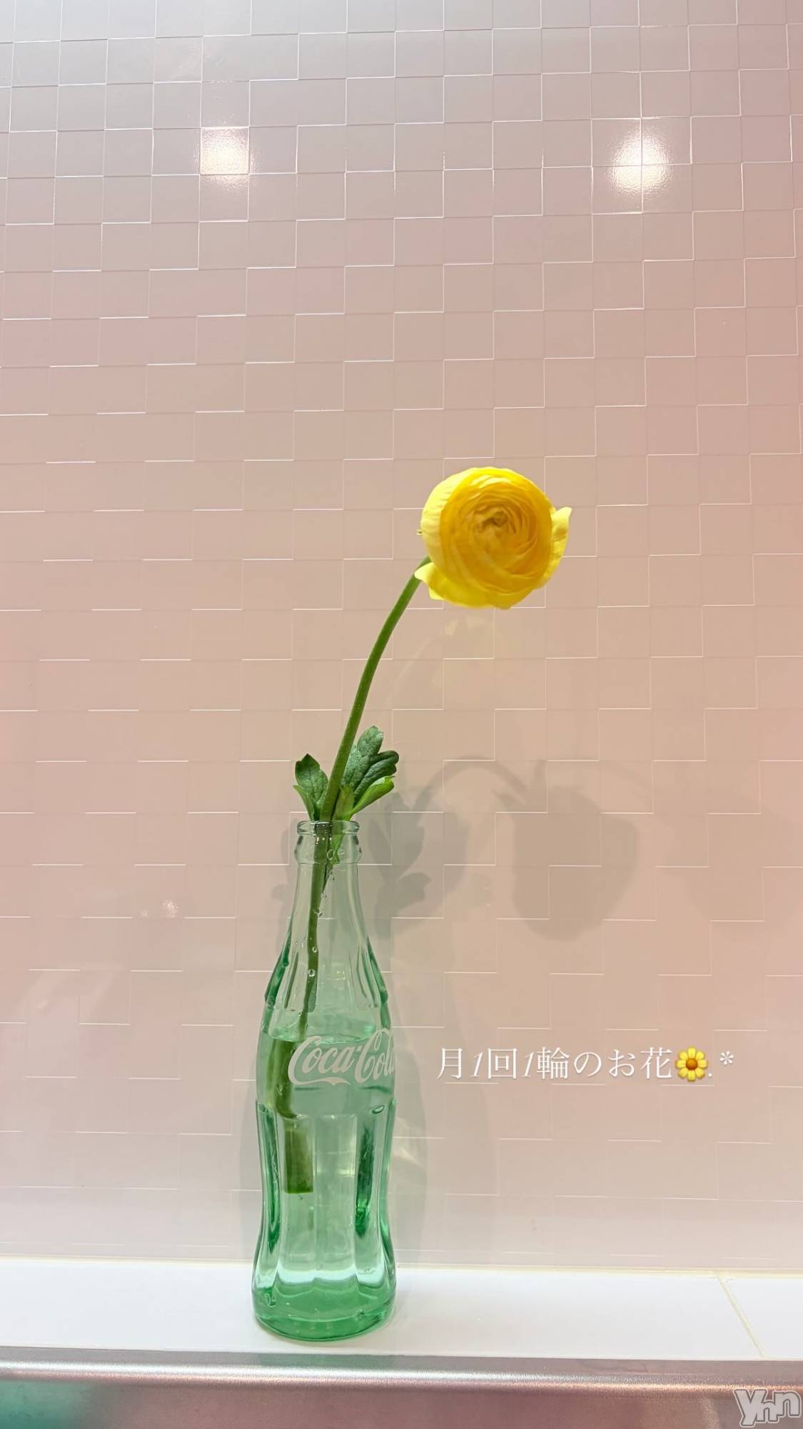 ���ܥ���Х��顦�����CLUB HEARTS(����֥ϡ���) ��2026ǯ1��21���̥�֥�����🌼.*��