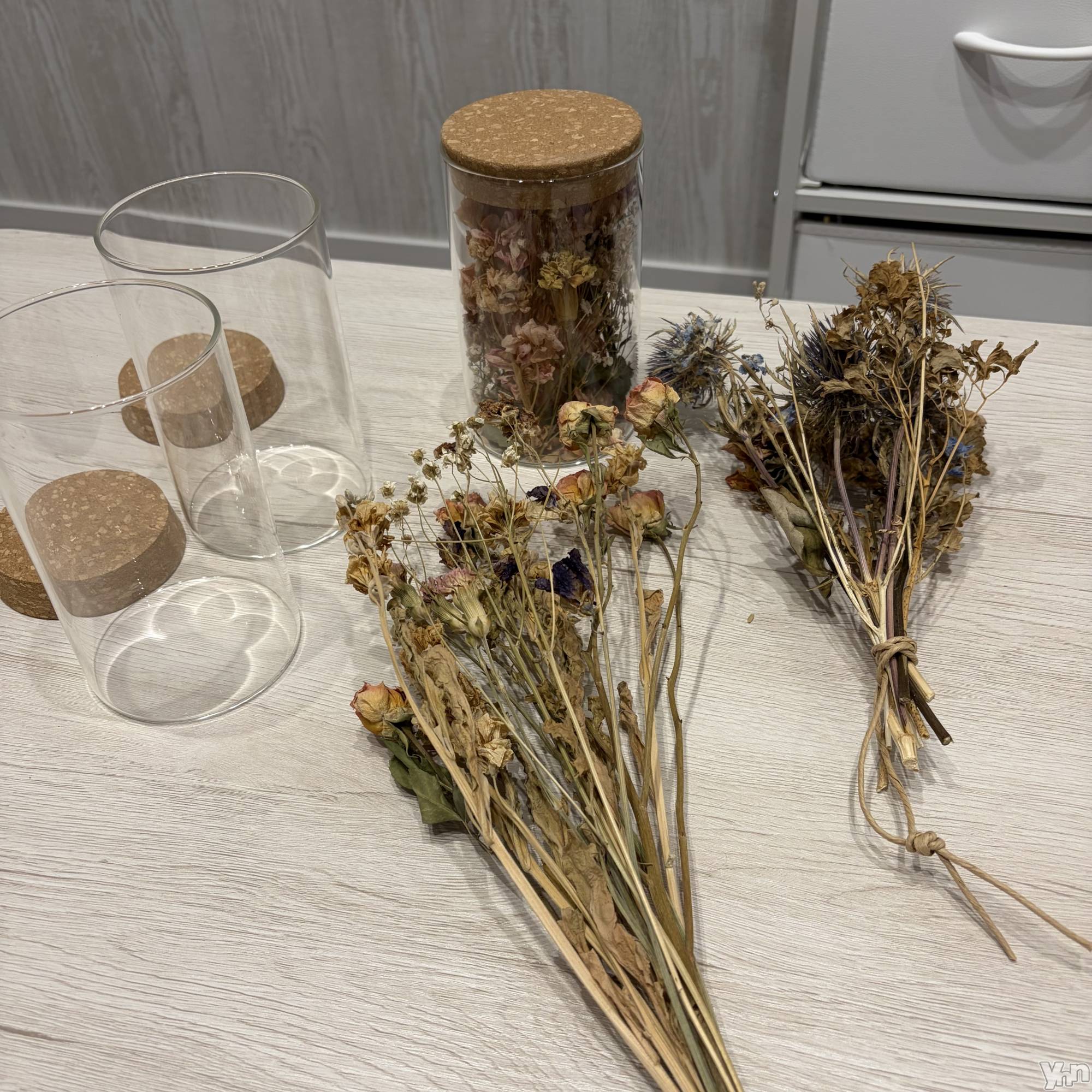 ���ܥ���Х��顦�����CLUB HEARTS(����֥ϡ���) ��2026ǯ1��24���̥�֥����֥ɥ饤�ե�💐��