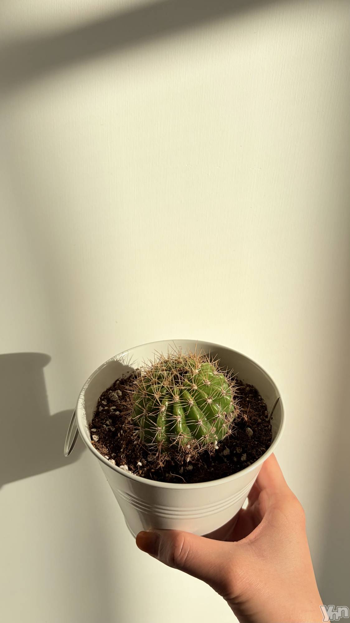 ���ܥ���Х��顦�����CLUB HEARTS(����֥ϡ���) ��2026ǯ1��26���̥�֥����֤����Υ��ܤ���🌵🌵��