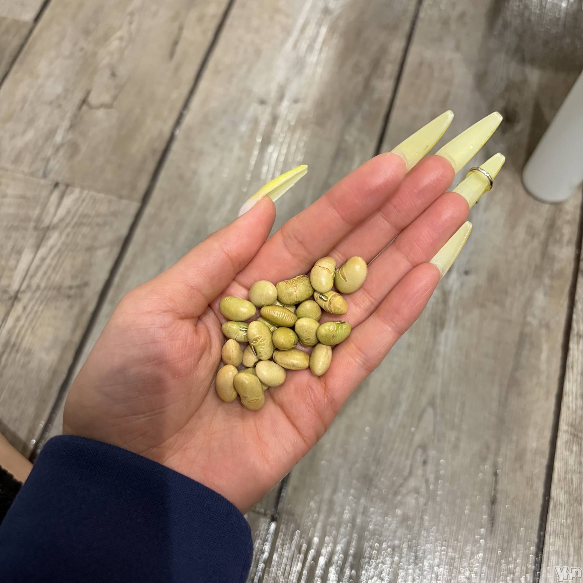 ���ܥ���Х��顦�����CLUB HEARTS(����֥ϡ���) ��2026ǯ2��3���̥�֥�������ʬ��