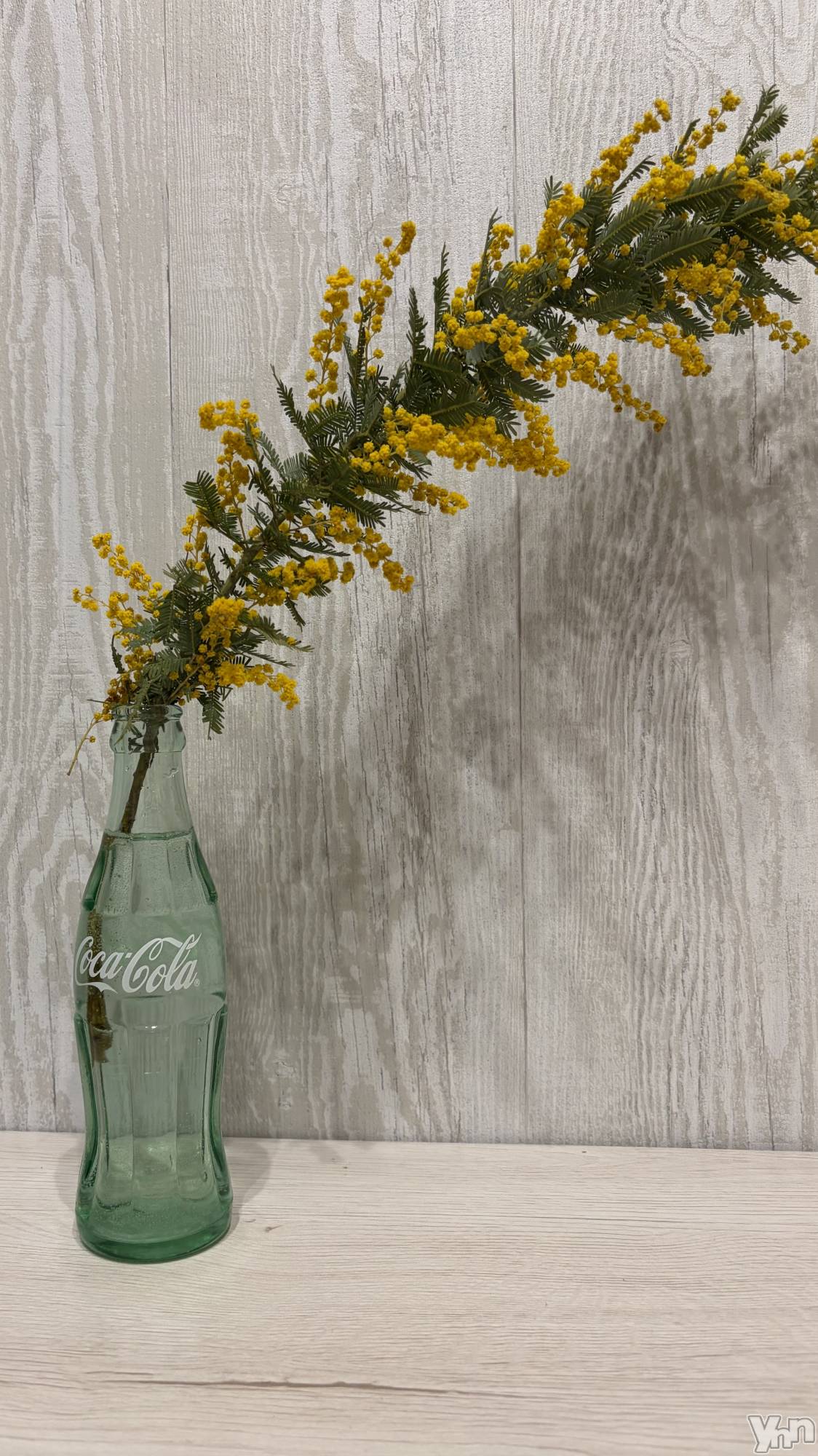 ���ܥ���Х��顦�����CLUB HEARTS(����֥ϡ���) ��2026ǯ2��13���̥�֥����ֺ���Τ��֡�