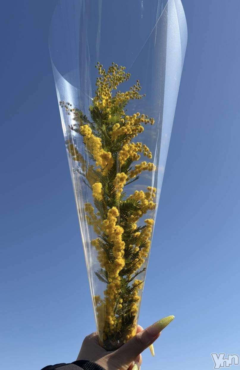 ���ܥ���Х��顦�����CLUB HEARTS(����֥ϡ���) ��2026ǯ2��14���̥�֥�����d�ݥ���ȡ�