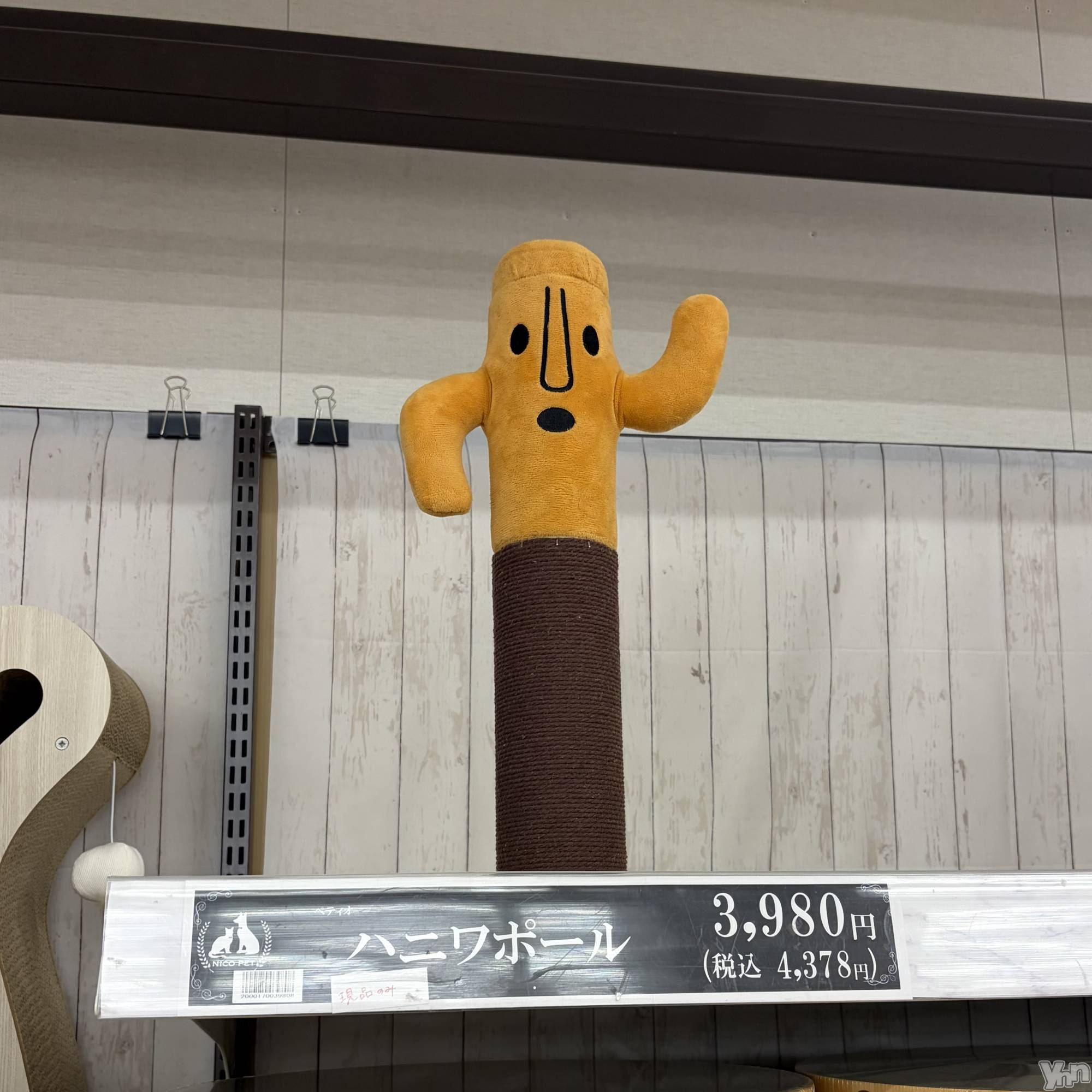 ���ܥ���Х��顦�����CLUB HEARTS(����֥ϡ���) ��2026ǯ3��9���̥�֥�����̥��Ū��