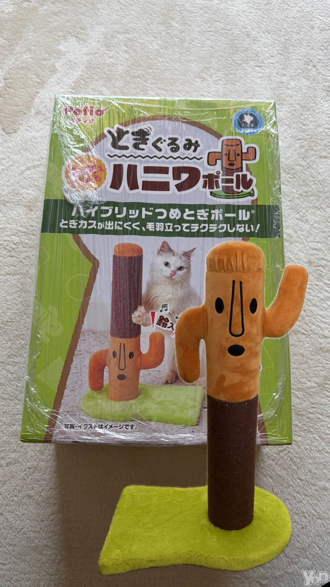 ���ܥ���Х��顦�����CLUB HEARTS(����֥ϡ���) ��2026ǯ3��12���̥�֥�������ä���ä���|��|����