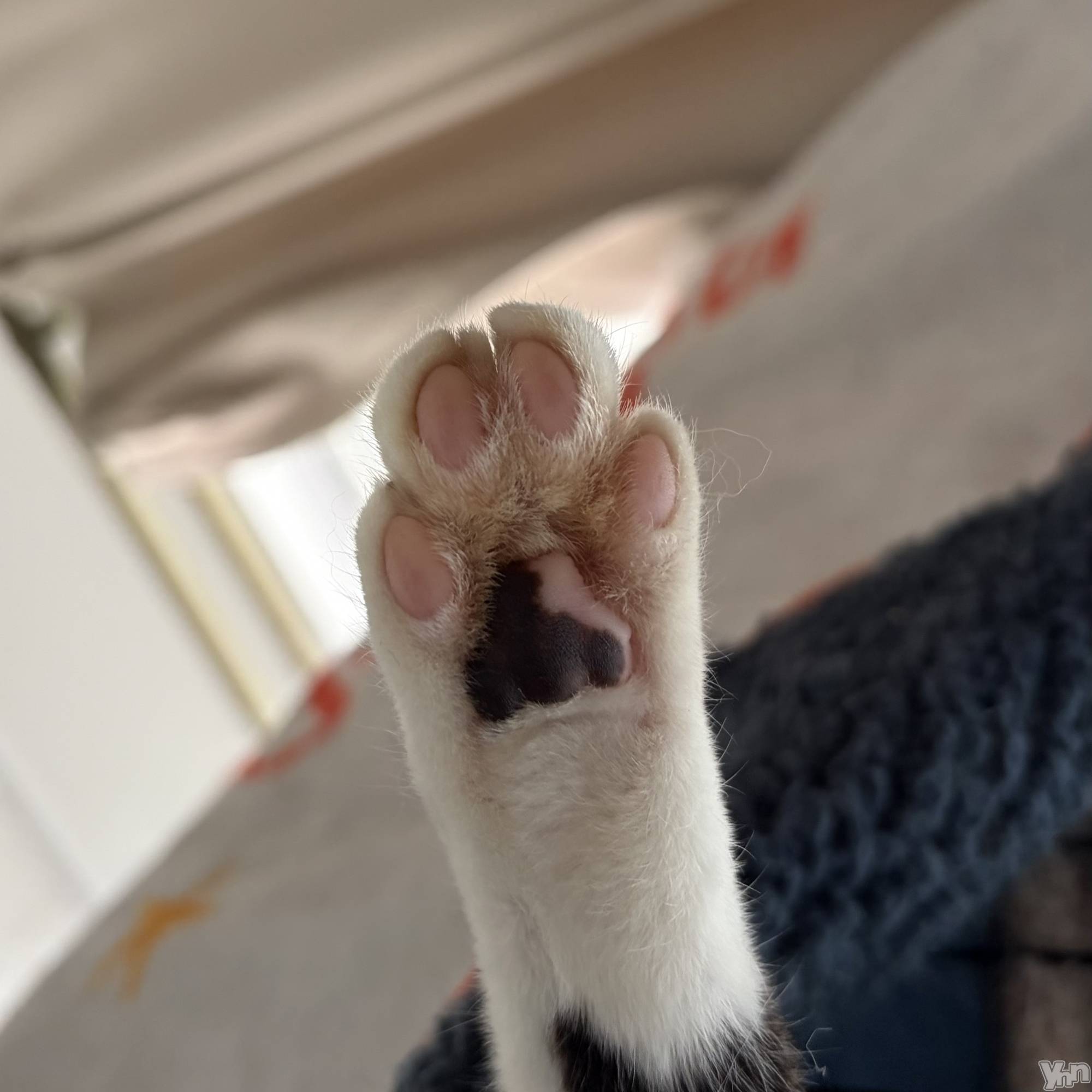 ���ܥ���Х��顦�����CLUB HEARTS(����֥ϡ���) ��2026ǯ4��9���̥�֥�����🐾🐾��