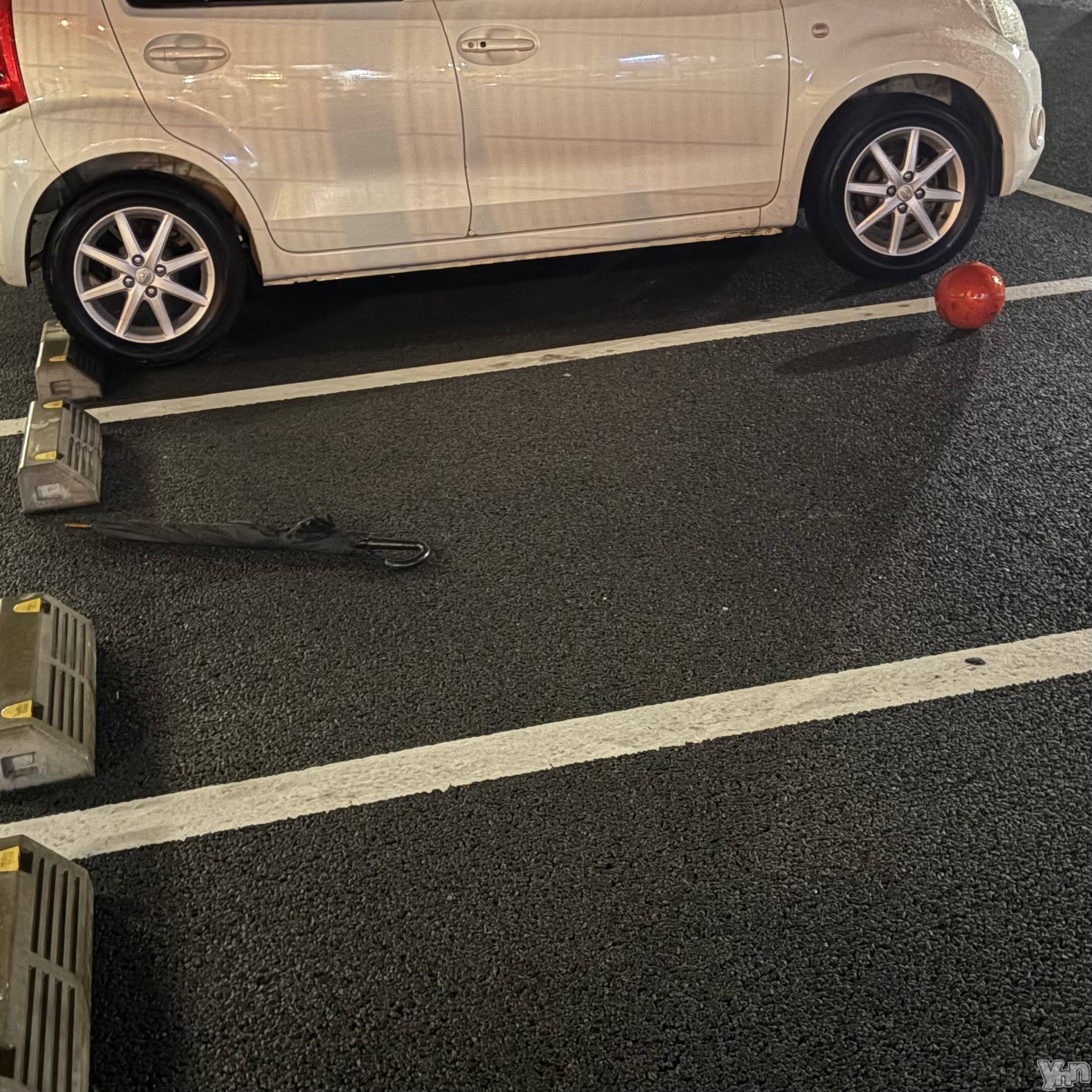 ���ܥ���Х��顦�����CLUB HEARTS(����֥ϡ���) ��2026ǯ4��26���̥�֥������Ի׵Ĥʡ�