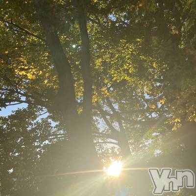 ���ܥ���Х��顦�����CLUB HEARTS(����֥ϡ���) �ޤʤ�(23)��11��16���̥�֥�����🍁⠜��