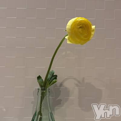 ���ܥ���Х��顦�����CLUB HEARTS(����֥ϡ���) �ޤʤ�(23)��1��14���̥�֥�����1�����1��🌼��