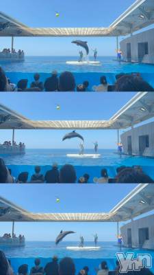 ���ܥ���Х��顦�����CLUB HEARTS(����֥ϡ���) �ޤʤ�(23)��1��17���̥�֥�����🐬✩.*�����