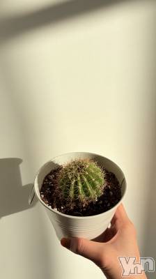 ���ܥ���Х��顦�����CLUB HEARTS(����֥ϡ���) �ޤʤ�(23)��1��26���̥�֥����֤����Υ��ܤ���🌵🌵��