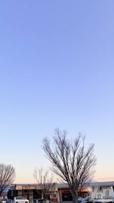 ���ܥ���Х��顦�����CLUB HEARTS(����֥ϡ���) �ޤʤ�(23)��2��7���̥�֥����ֲ�������������